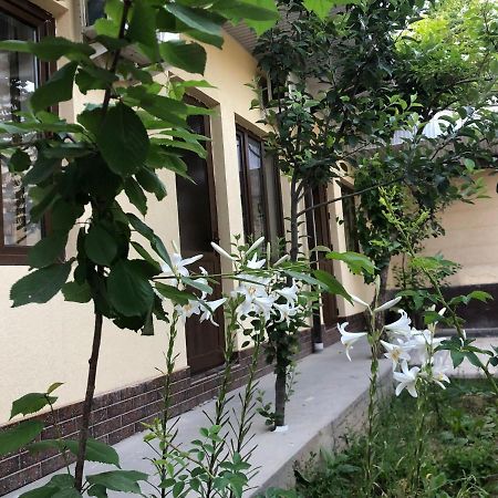 Дом Отель Бадамзар Tashkent Exterior foto